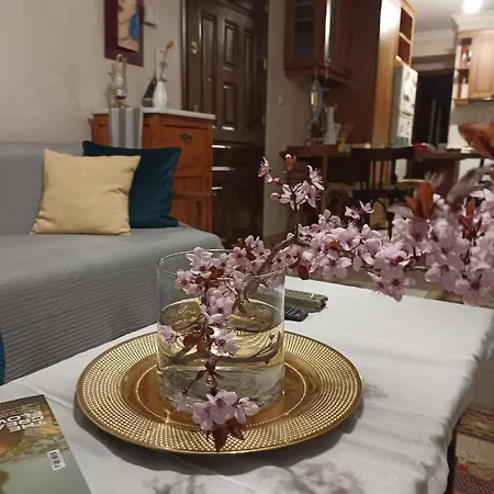 Apartment Lina's City Center Place